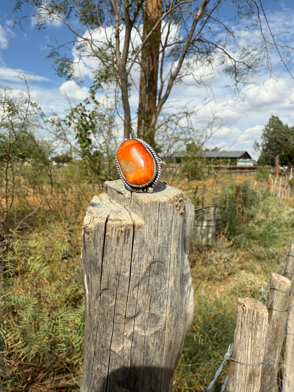 Orange Spiny Oyster Ring