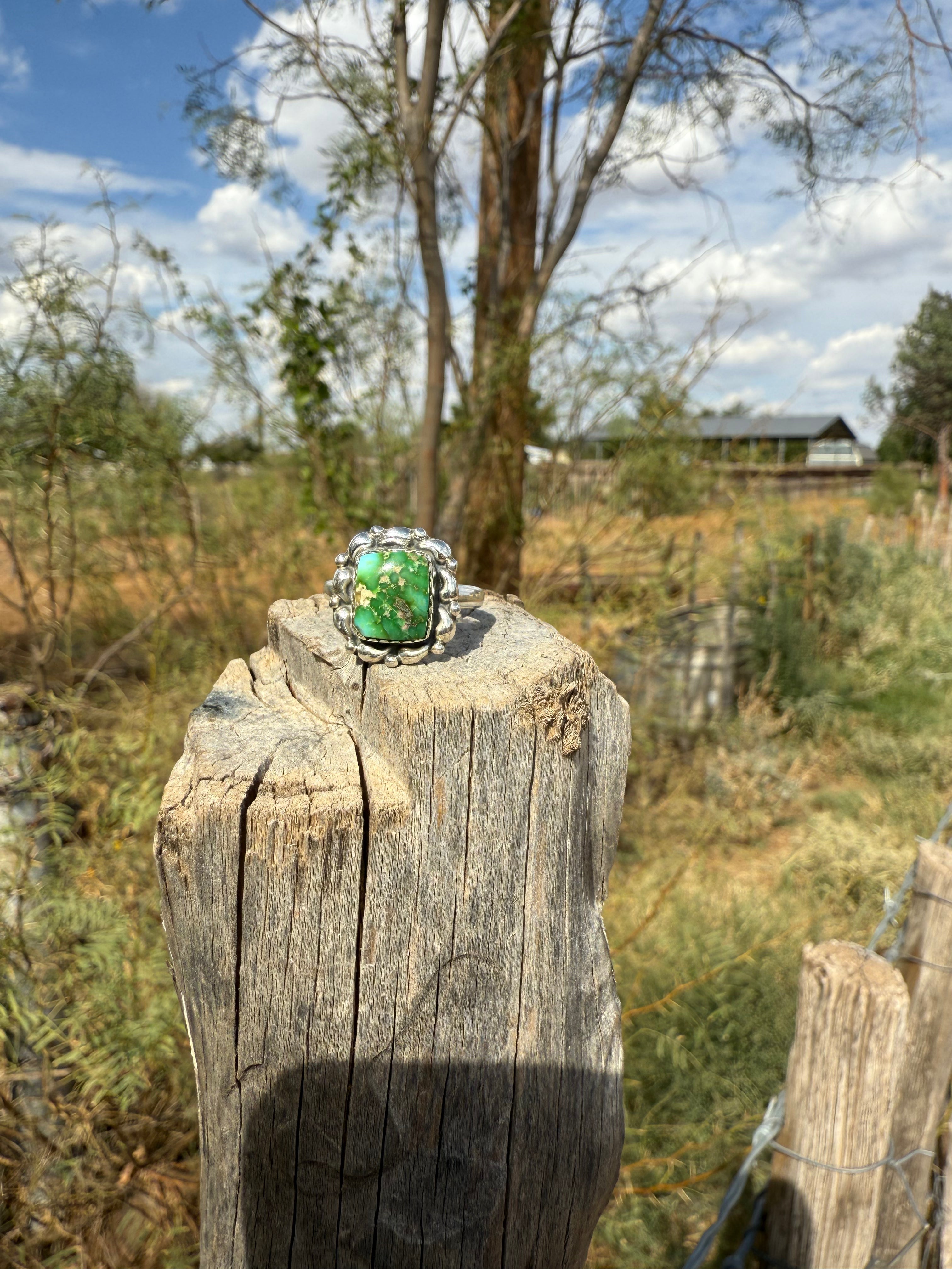Sonoran Gold Turquoise Ring