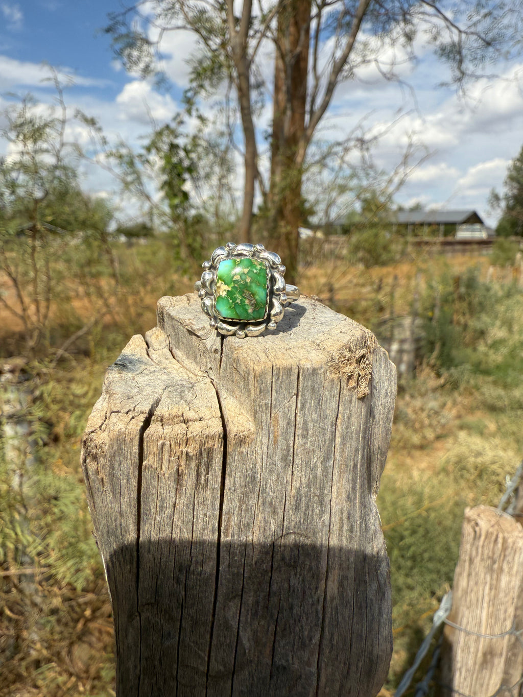 Sonoran Gold Turquoise Ring