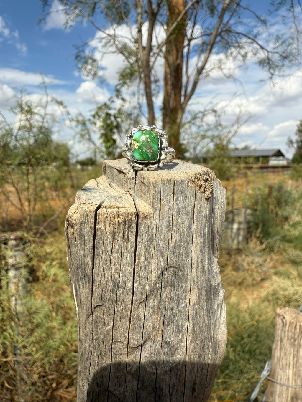 Sonoran Gold Turquoise Ring