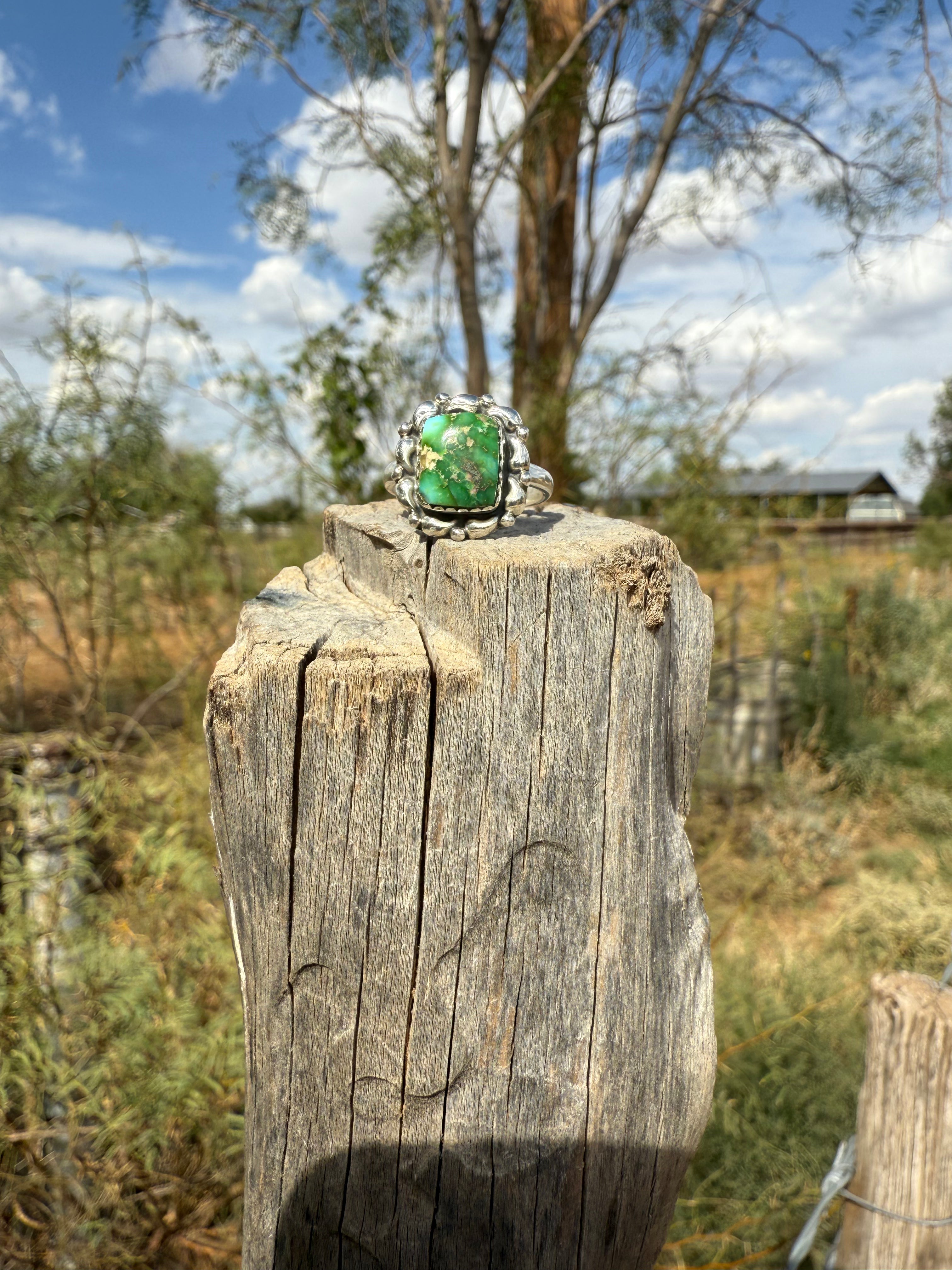 Sonoran Gold Turquoise Ring