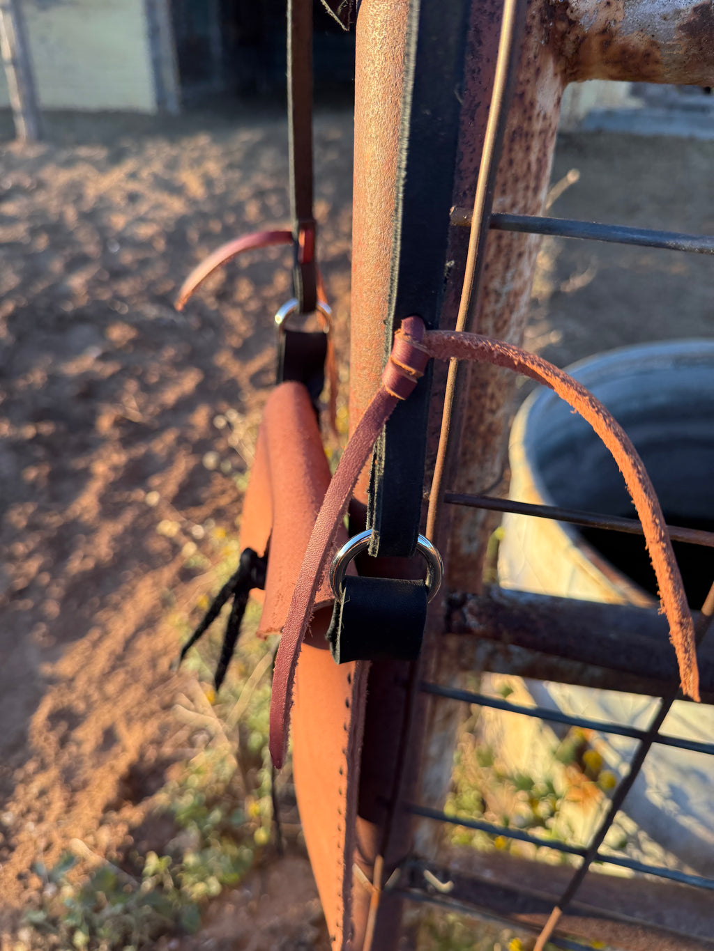 The Wanderer - Brown and Black