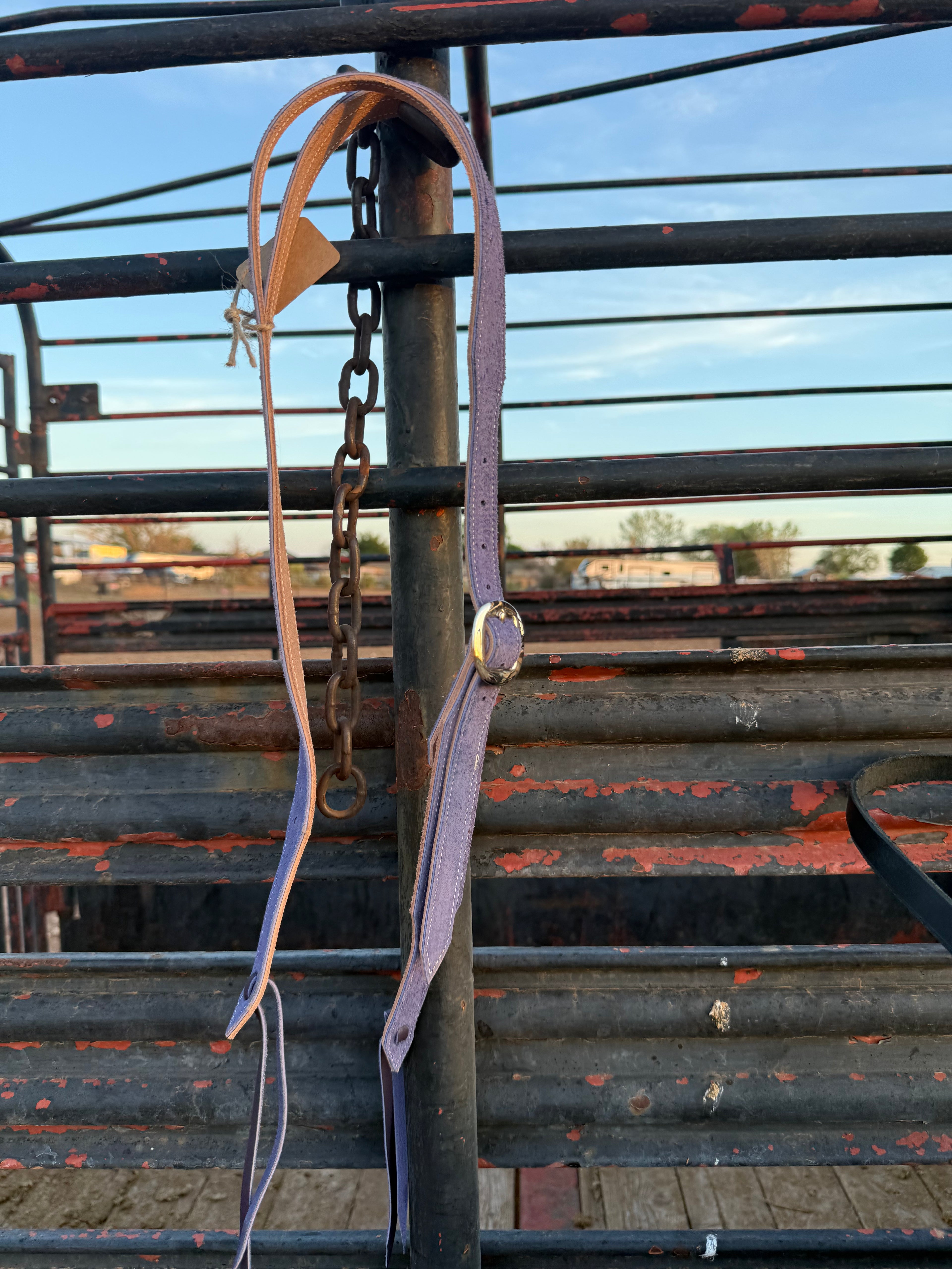 Brown and Turquoise Headstall
